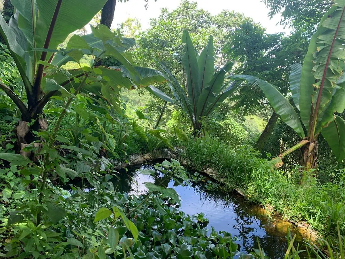 Farm stay Finca El Tambor Villa Antigua